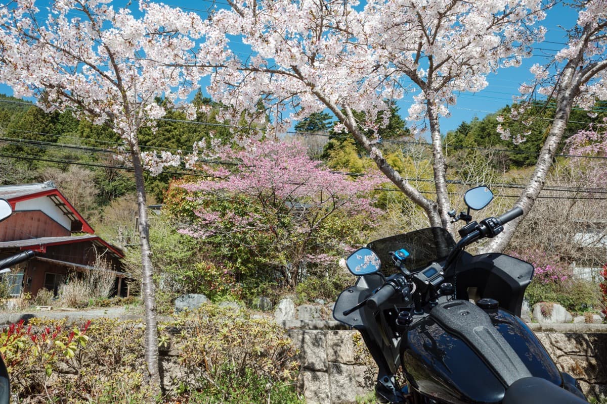 道志みち→山中湖→富士五湖→朝霧高原→箱根。欲張り全部盛りツーリングしてきた